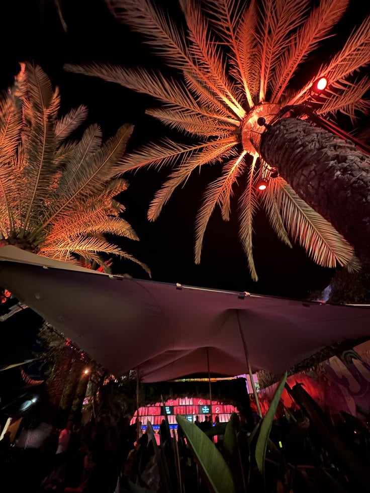 IBIZA photo 1