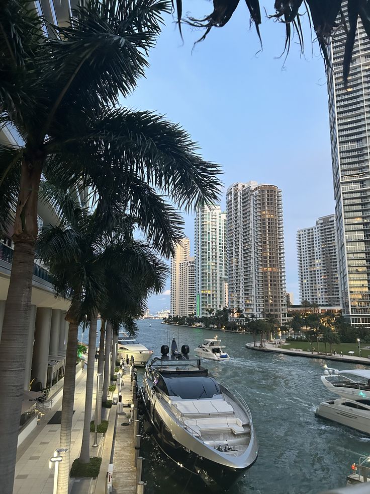 MIAMI photo 3
